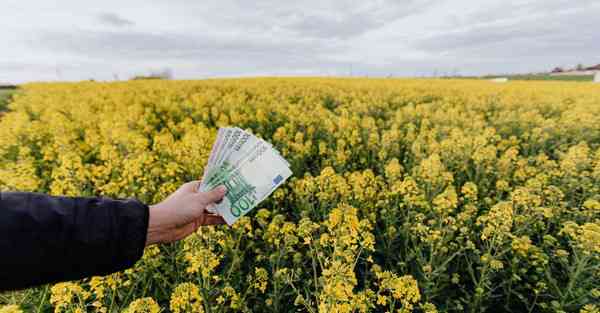 黑洞vp(永久免费)加速器下载